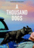 A Thousand Dogs (Taschen 25th Anniversary)