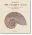 The Secret Code: the Mysterious Formula That Rules Art, Nature, and Science