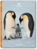Penguin (Icons Series)