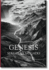 Sebasti�o Salgado: Genesis