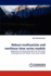 Robust Multivariate and Nonlinear Time Series Models: Application of Robust Estimators for the Vector Autoregressive and Bilinear Time Series Models
