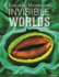 Exploring Microcosms: Invisible Worlds