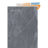 Catenary Jasper Johns