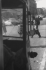 Saul Leiter: Photo Poche N� 113