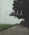 Thomas Struth Still /Anglais