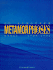 Metamorphoses a.T. Schaefer Works 1989-1996