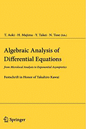 Algebraic Analysis of Differential Equations