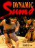 Dynamic Sumo