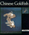 Chinese Goldfish