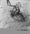Josef Koudelka (Torst)