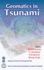 Geomatics in Tsunami
