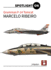 Spotlight on Grumman F-14 Tomcat By Marcello Ribeiro