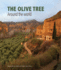 Olive Tree: Around the World Format: Hardcover
