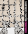 Sigfredo Chac�n: Crossing