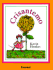 Crisantemo