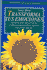 Transforma Tus Emociones