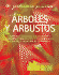 �rboles Y Arbustos