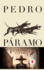 Pedro P�ramo: Spanish Edition