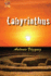 Labyrinthus (Spanish Edition)