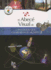 El Abec� Visual De Los Inventos Que Cambiaron El Mundo 2 (Colecci�n Abec� Visual) (Spanish Edition)