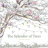The Splendor of Trees Coloring Book Format: Paperback