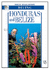 Honduras and Belize (White Star Guides: Diving)