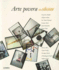 Arte Povera: in Collection
