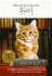 Dewey (Korean Edition)