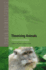 Theorizing Animals: Re-Thinking Humanimal Relations (Human-Animal Studies, 11)