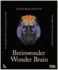 Wonder Brain