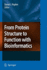From Protein Structure to Function With Bioinforma