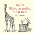 5000 Animals