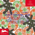 Fancy Designs 1920: Fantasiedesigns Aus Den 20er Jahren. Design Decoratif Annees 20. Disenos Decorativos De Los Anos Veinte (Pepin Patterns, Designs and Graphic Themes)