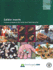 Edible Insects: Future Prospect for Food and Feed Security (Fao Forestry Paper)