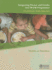 Integrating Poverty and Gender Into Health Programmes: A Sourcebook for Health Professionals