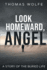 Look Homeward, Angel