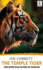 Temple Tiger