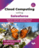 Cloud Computing using Salesforce: Build and customize applications for your business using the Salesforce Platform - 2nd Edition