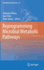 Reprogramming Microbial Metabolic Pathways