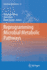 Reprogramming Microbial Metabolic Pathways
