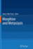 Morphine and Metastasis