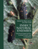 Insect Natural Enemies: Practical Approaches to Their Study and Evaluation