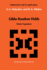Gibbs Random Fields