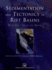 Sedimentation and Tectonics in Rift Basins Red Sea