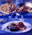 Wok (Essential Kitchen Series) [Hardcover] By Liley, Vicky; Liley, Vicki
