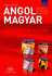 Concise English-Hungarian Dictionary