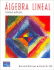 Algebra Lineal, 8/Ed