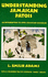 Understanding Jamaican Patois: an Introduction to Afro-Jamaican Grammar-With a Childhood Tale By Llewelyn "Dada" Adams
