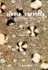 Liquid Crystal-Applications and Uses (Volume 3)