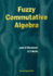 Fuzzy Commutative Algebra (Pure Mathematics)